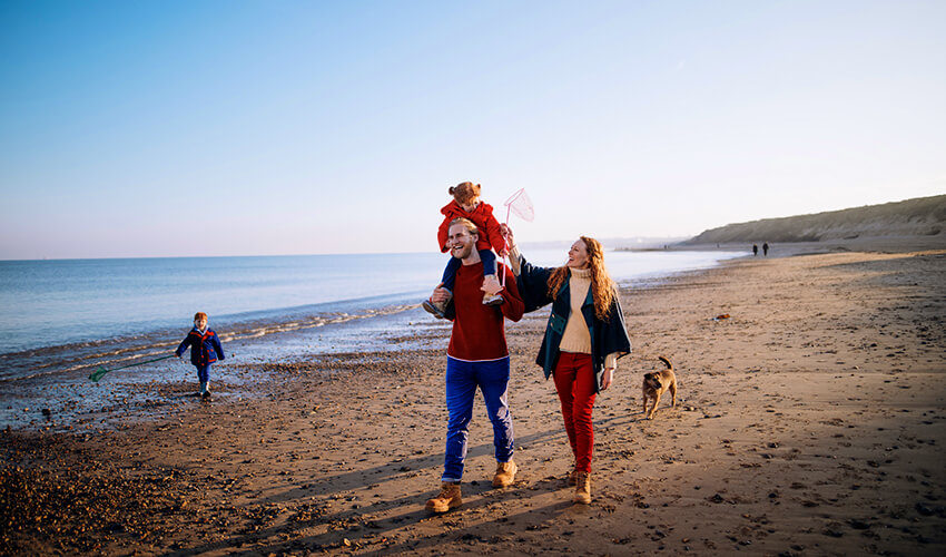 A family of four walking down the beach with a dog.