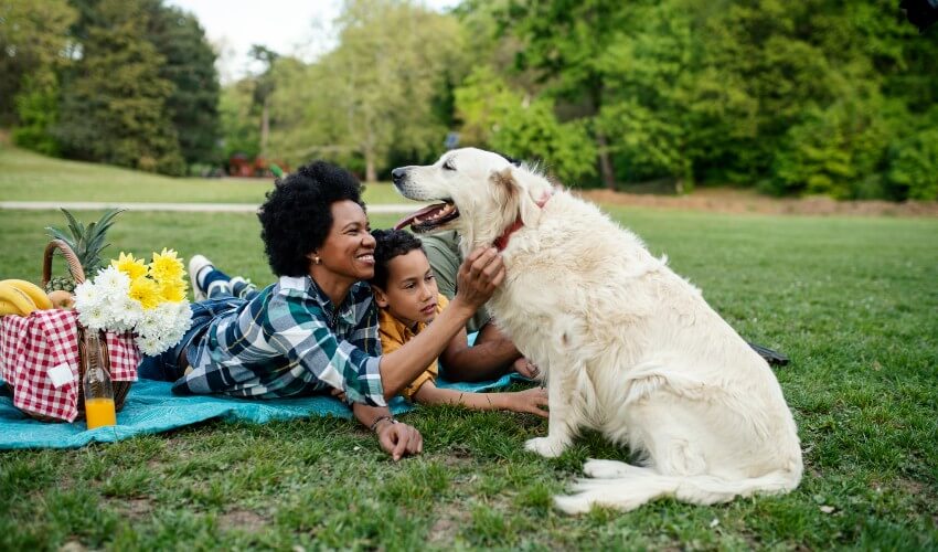 Mother, son and pet dog on a picnic blanket in the park.