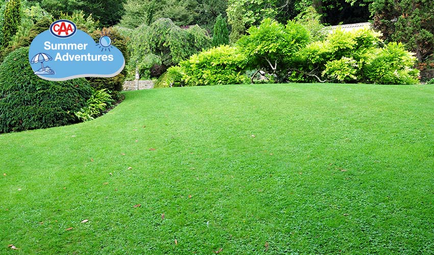 A grassy lawn with bushes in background