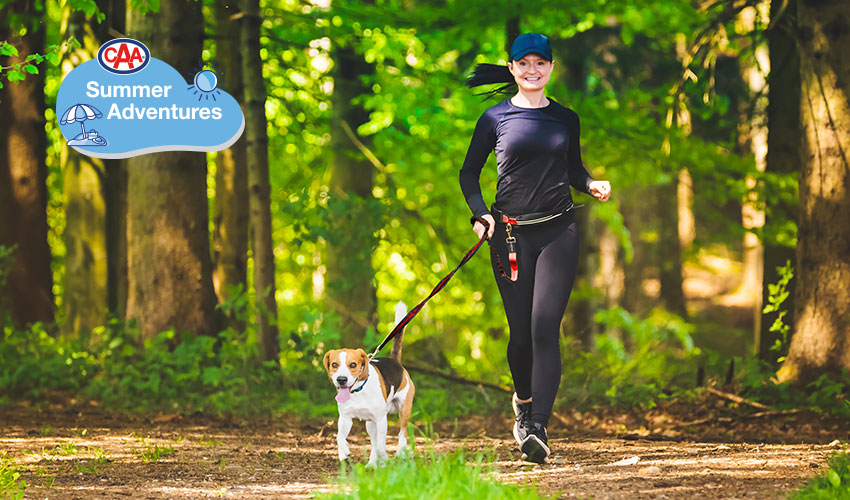 Woman walking dog in forest