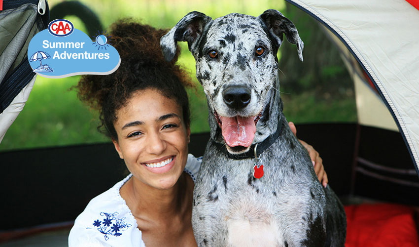 Girl sitting with a large dog in a tent