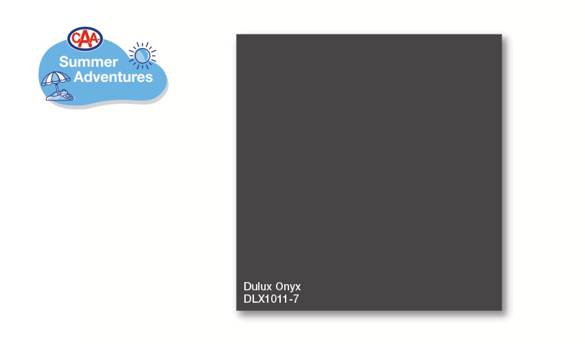 Dulux Onyx DLX1011-7