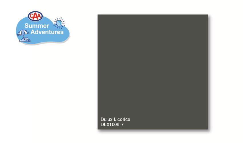 Dulux Licorice DLX1009-7