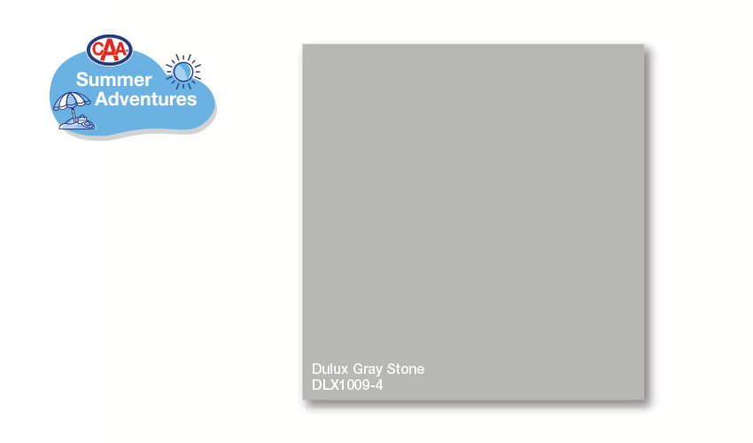 Dulux Gray Stone DLX1009-4