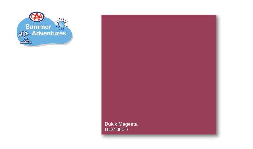 Dulux Magenta DLX1050-7