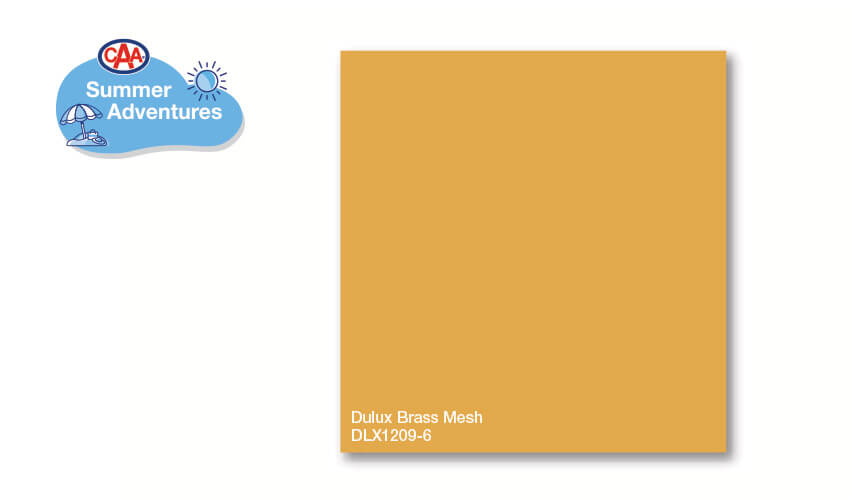 Dulux Brass Mesh DLX1209-6