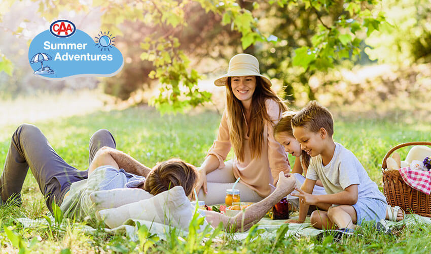 Family having picnic outdoors