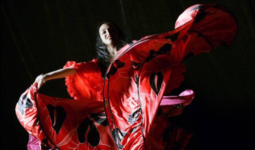 Flamenco dancer in vibrant red dress.