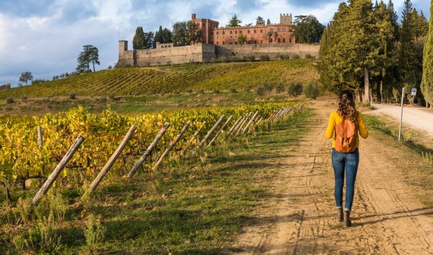 Woman walking beside a Tuscan wine grove.