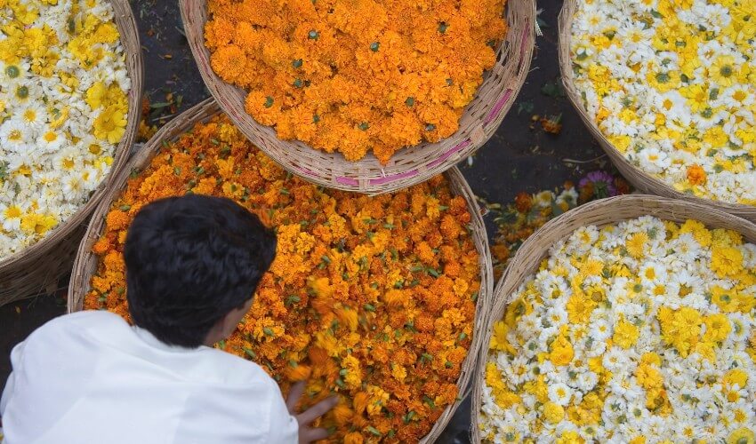 Person bending over colourful baskets of flowers in India.
