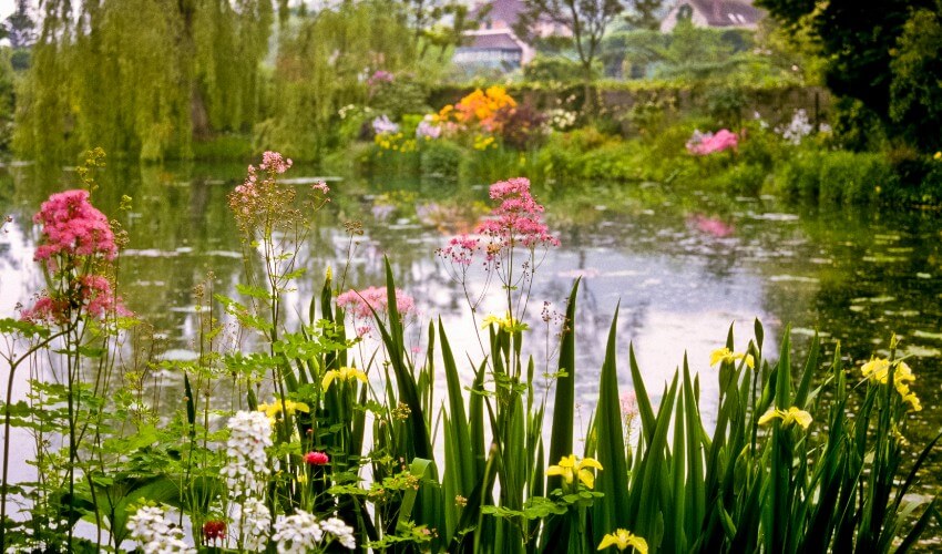 Pond in Monet’s garden in Giverny, outside of Paris.