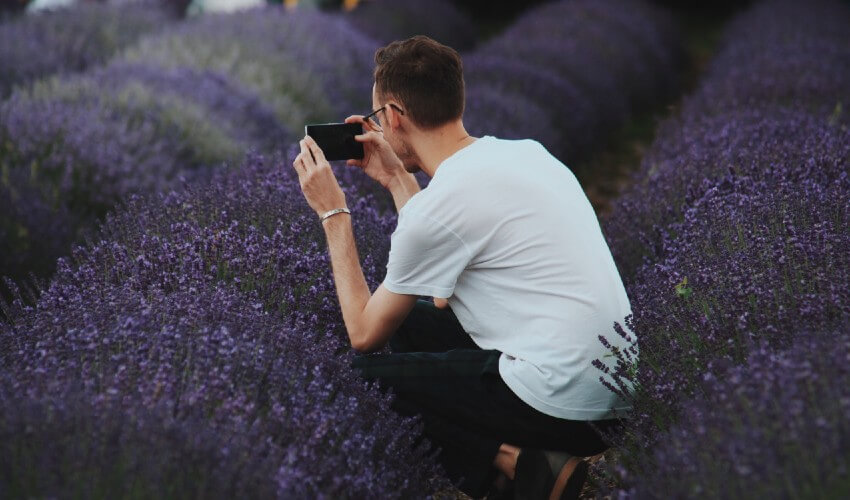 Kneeling man taking photos in Ontario lavender field.