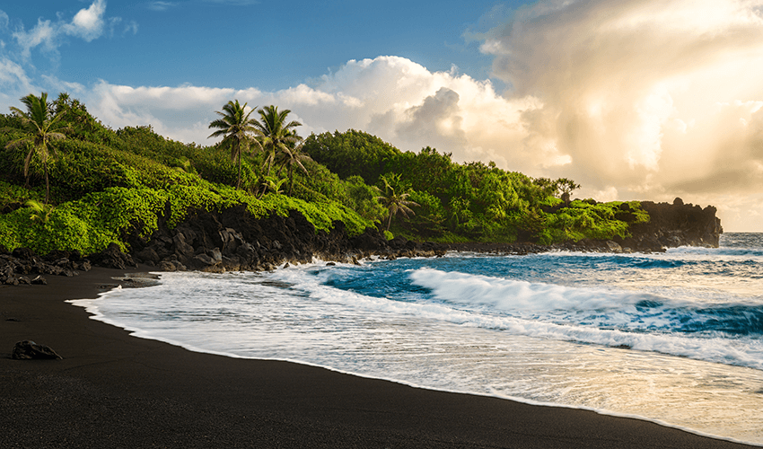 Black sand beach with green bushes by a clear ocean.
