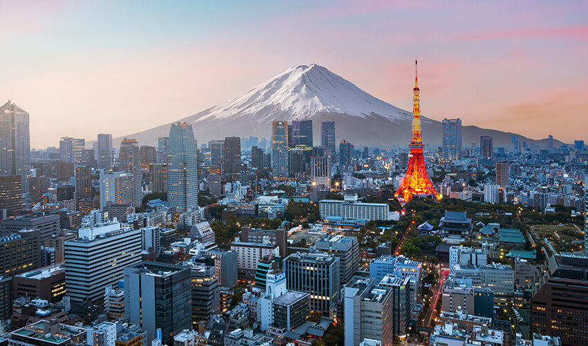 View of the Mt. Fuji and Tokyo skyline from above.