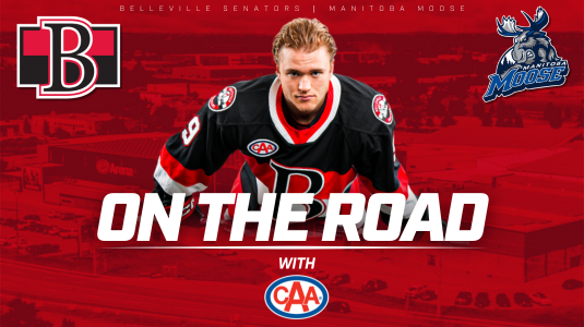 Belleville Senators hockey player
