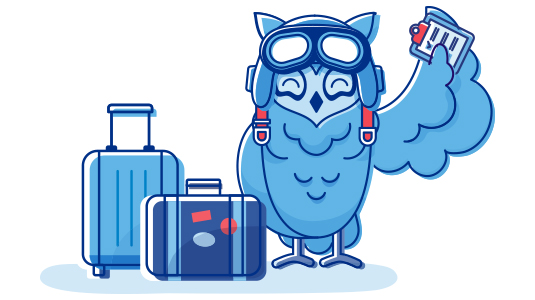 Graphic of Earhart the Owl