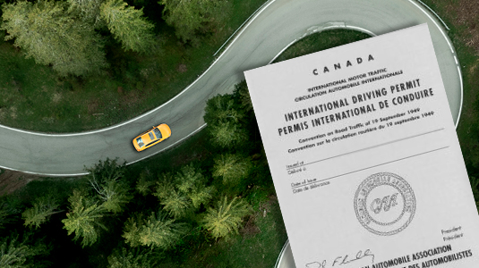 Image of an International Drivers Permit