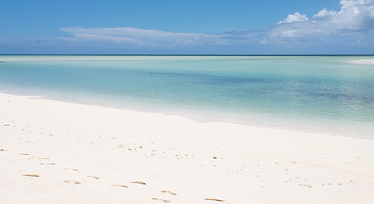 Scenic view of beach