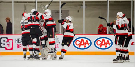 Belleville Senators celebrating a goal