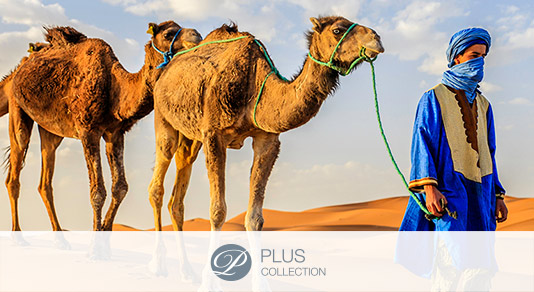 Tuareg with camels, Morocco