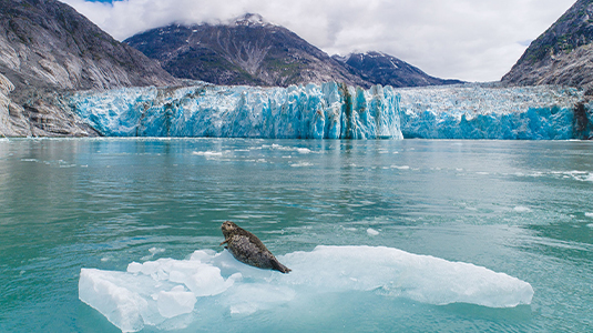 Alaskan Elegance Dawes Glacier Cruise