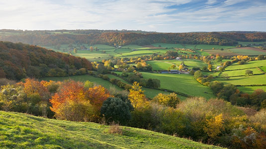 The lush, rolling hills of the Cotswolds in summer.