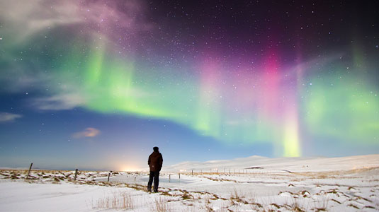 Man in a snowy field looking up at the Aurora Borealis.