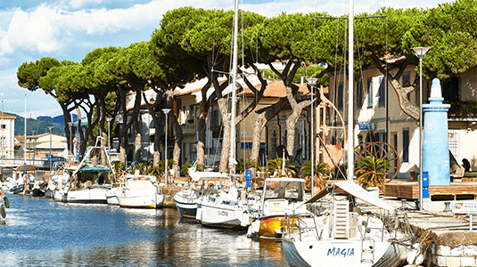 Sailboats moored by a tree-lined waterfront promenade.