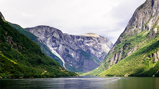 Green vegetation on the sheer cliffs of a Norwegian fjord.