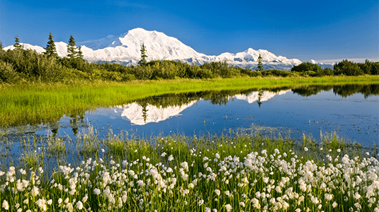 Mountains reflected in water in Denali National Park.