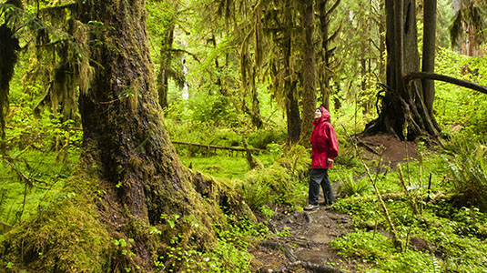 Northwest Coastal Escape