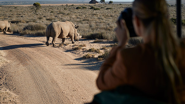 Western Cape, South Africa