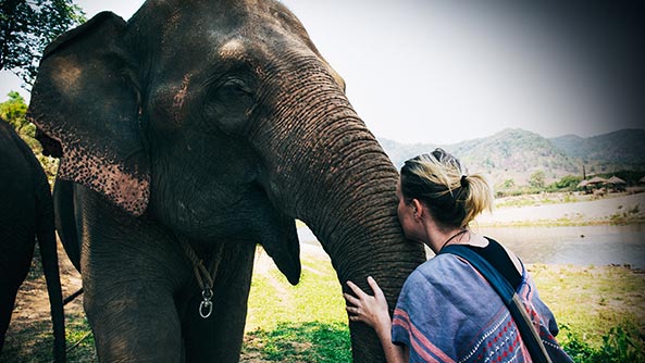 Woman kissing elephant