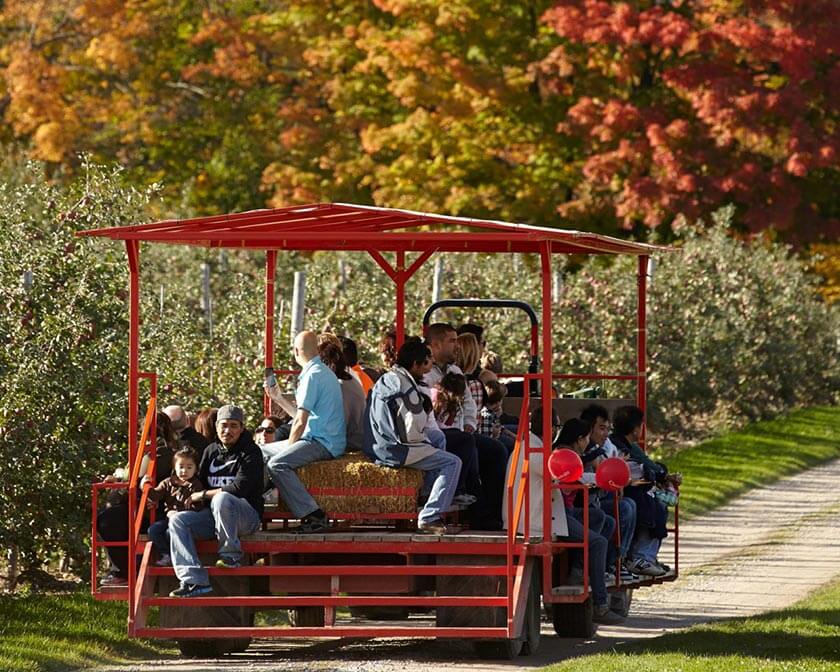People on a wagon at Chudleighs Farm