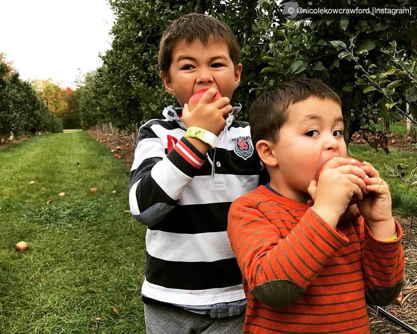 Boys eating apples