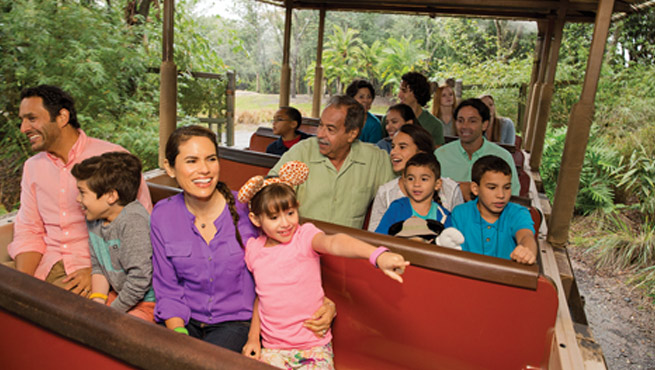 Disney Animal Kingdom ride