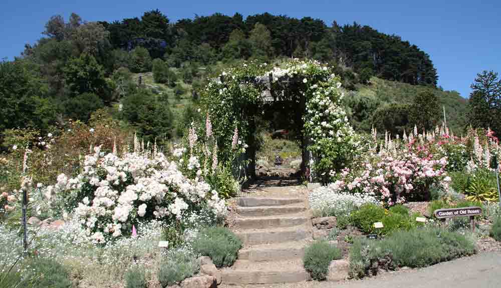 Travel Secret: 10 Reasons Why Berkeley Has the Best of Everything