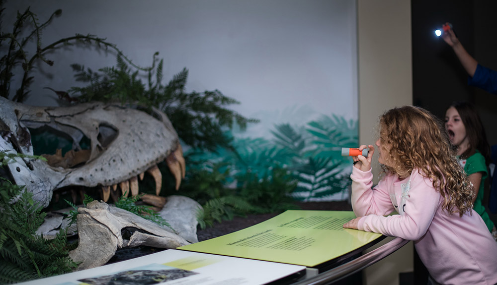 Visit These Attractions Where Your Family Can Sleep Over