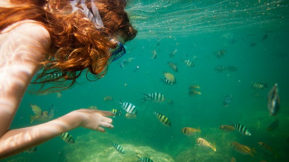 Girl snorkeling in tropical waters